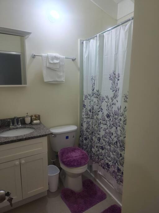 פאלמאות' Stonebrook Manor Villa Chateau מראה חיצוני תמונה